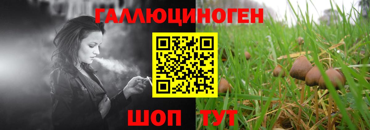 Псилоцибиновые грибы Psilocybine cubensis  Вход с VPN  Урюпинск 